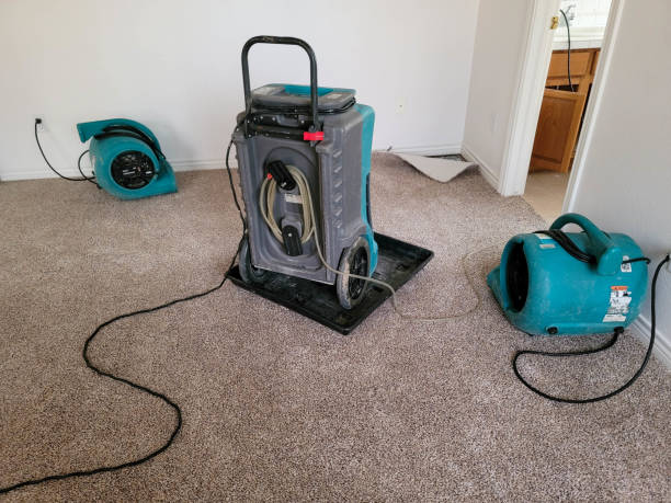 Best Carpet water damage restoration  in East Rancho Dominguez, CA