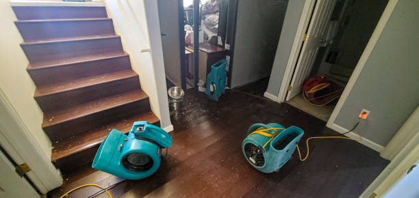 Best Flood restoration services  in East Rancho Dominguez, CA