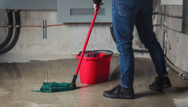  East Rancho Dominguez, CA Water damage restoration Pros