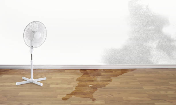 Best Flood damage cleanup  in East Rancho Dominguez, CA