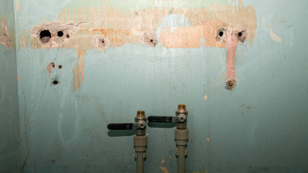 Best Local water damage restoration  in East Rancho Dominguez, CA
