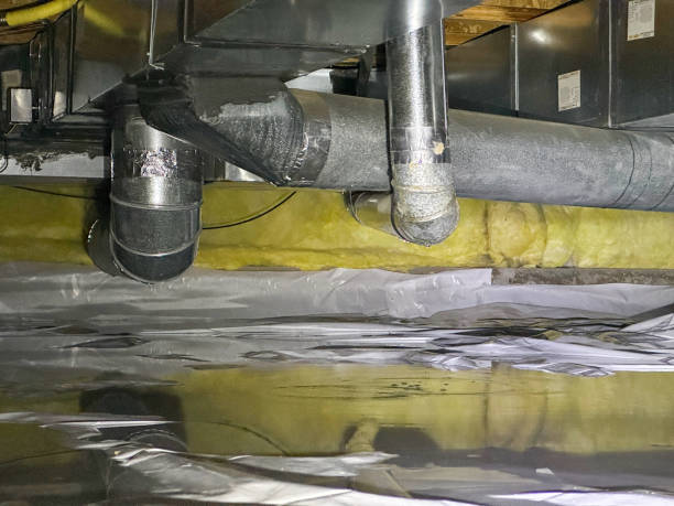 Best Emergency water extraction  in East Rancho Dominguez, CA