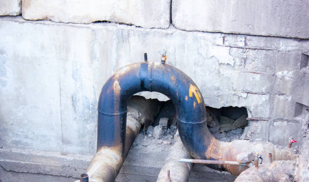 Best Flood damage cleanup  in East Rancho Dominguez, CA